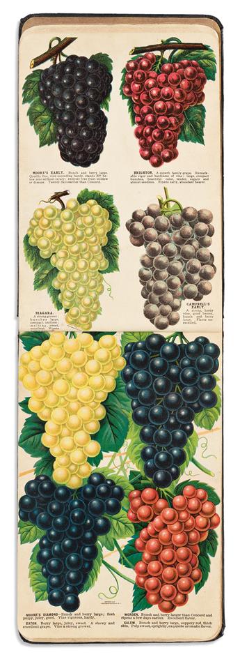 (HORTICULTURIST CATALOGS.) Specimen Book of Fruits, Flowers and Ornamental Trees.
